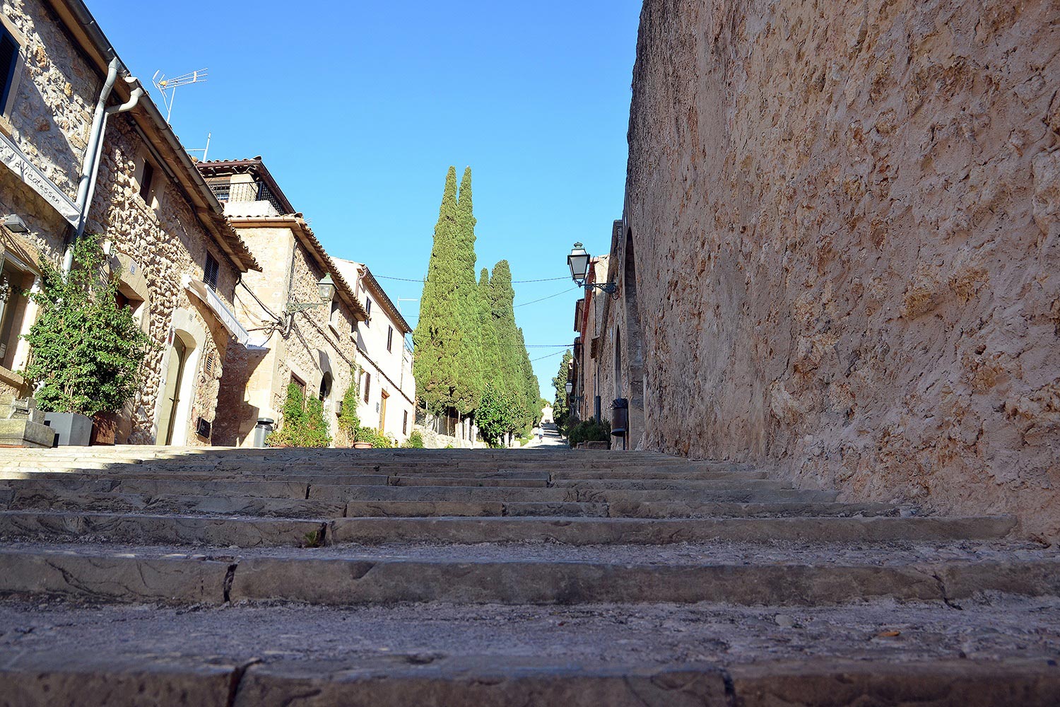 Pollenca